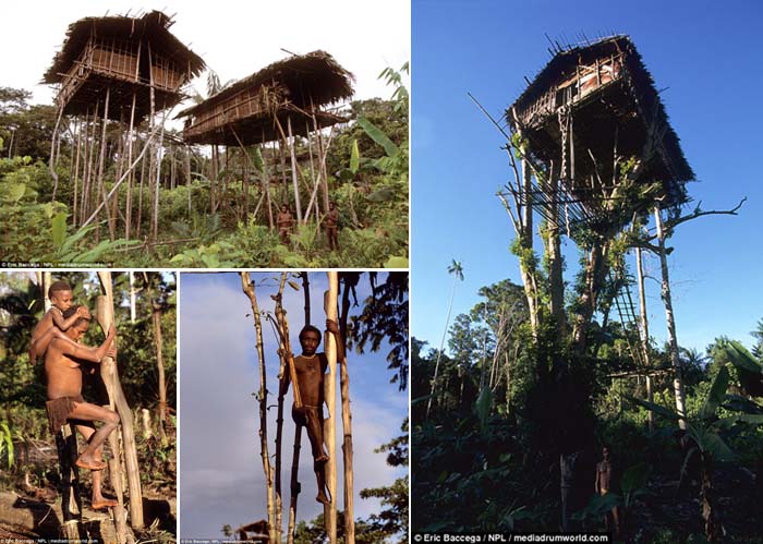 Suku Korowai di Papua Kira Tidak Ada Manusia Lain di Luar Habitat Mereka